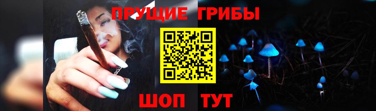 Пенза  Псилоцибиновые грибы Psilocybine cubensis  Псилоцибиновые грибы MAGIC MUSHROOMS  Вход с VPN 